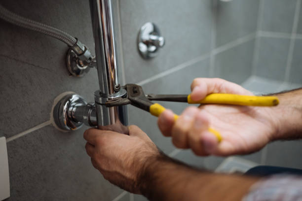 Best Plumbing Inspection Services  in Long Valley, NJ